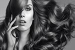 Celebrity Beyond Gallery Image
